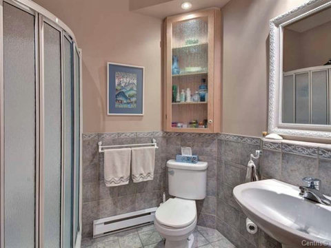 Main floor bathroom with shower