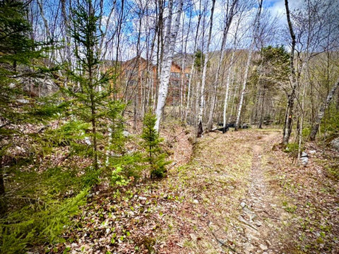 View from the Nord Sud Trail – From this point, you can spot the building and unit 304. The trail leads nearly 2 km down to the main river, where bike paths, hiking trails, and waterfalls await. 