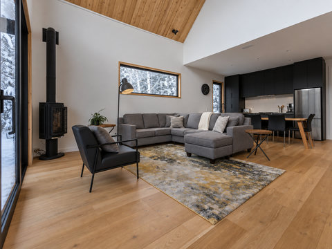 Vaulted great room with wood stove, snowy views, and sleek modern kitchen