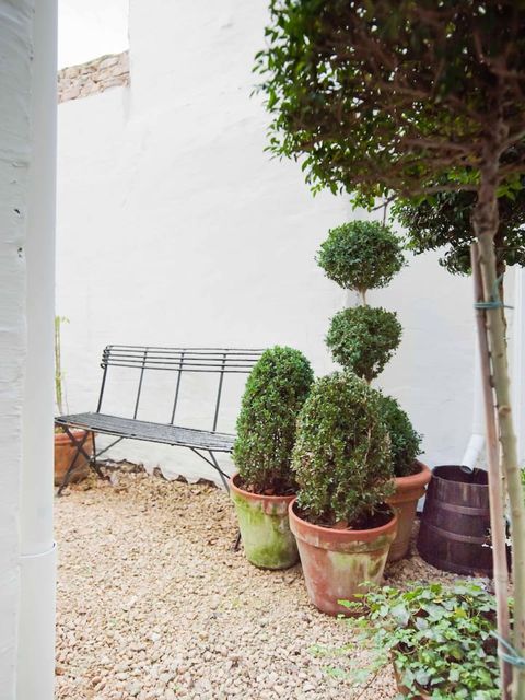 Guesthouse Groeninghe is centrally located in the old heart of Bruges