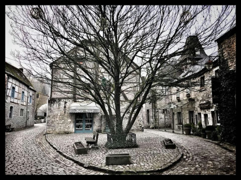 In winter, the center of Durbuy transforms into a magical wonderland. The charming cobblestone streets, adorned with twinkling lights, create a festive atmosphere that enchants visitors.