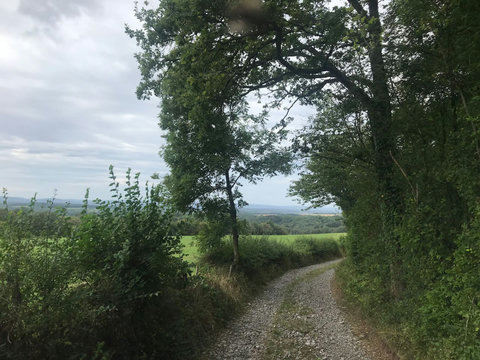 Embarking on a hiking adventure in Durbuy, I traversed picturesque trails that unveiled the town's natural wonders. Ascending through ancient forests and medieval ruins, the journey offered panoramic views of the Ourthe Valley.