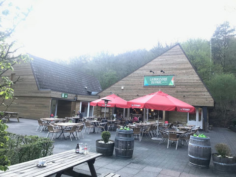 Brasserie and terrace of the park