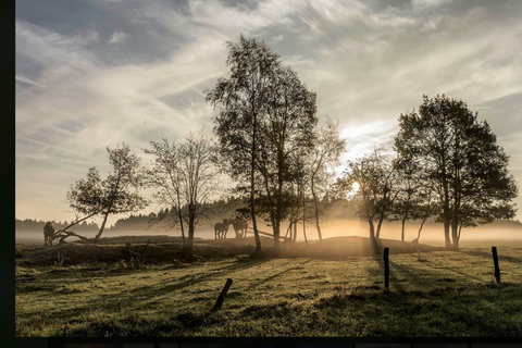 The crisp air and earthy scents of Durbuy heightened the experience.

Descending to the riverbank, I navigated quaint bridges and rocky terrains, guided by the gentle flow of the River Ourthe.