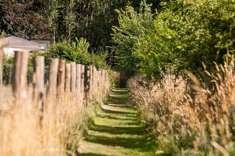 In de buurt van Brugge kun je genieten van het beste van twee werelden: de rust en stilte van de natuur en het bruisende leven van de stad.