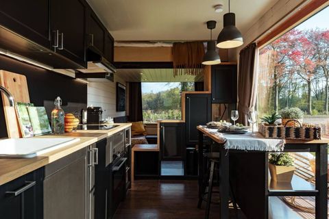 Deze kleine maar slim ontworpen woningen zijn perfect voor mensen die op zoek zijn naar een minimalistische levensstijl en een sterke band met de natuur.