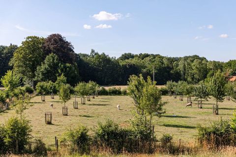 De Tiny Houses in de natuur rond Beernem bieden ook een unieke en gezellige verblijfservaring.
