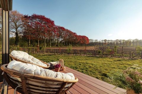 Met de mogelijkheid om off-grid te leven en met respect voor het milieu te bouwen, is het geen wonder dat tiny houses steeds populairder worden.
