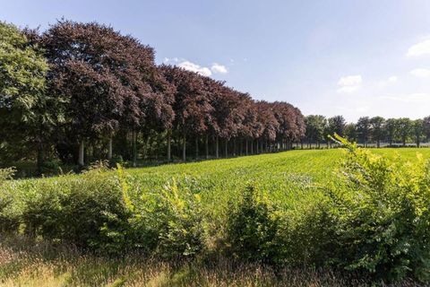 De Tiny Houses in de natuur rond Beernem bieden ook een unieke en gezellige verblijfservaring.