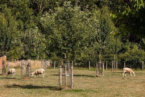 De Tiny Houses in de natuur rond Beernem bieden ook een unieke en gezellige verblijfservaring.