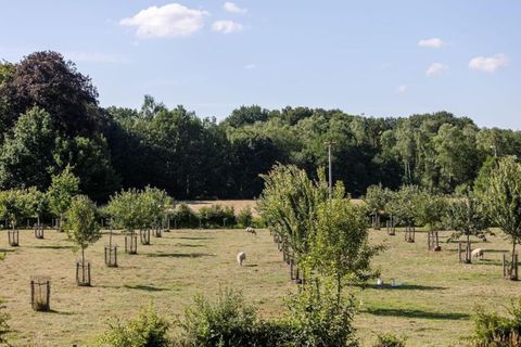 Ga wandelen of fietsen in de natuur, maak een meditatieve wandeling langs de prachtige waterwegen of geniet gewoon van de serene omgeving van je tiny house.