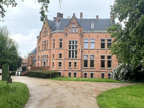 Het Bulskampveld, het grootste bosgebied van West-Vlaanderen, biedt talloze wandel- en fietspaden, meren en riviertjes