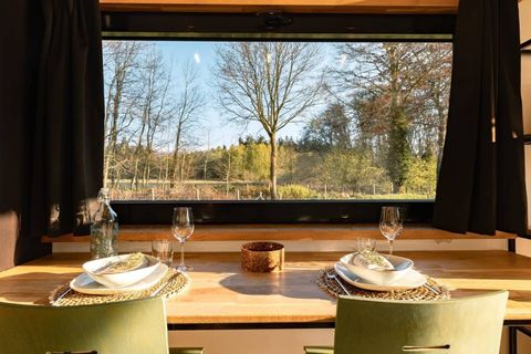 Deze kleine maar slim ontworpen woningen zijn perfect voor mensen die op zoek zijn naar een minimalistische levensstijl en een sterke band met de natuur.