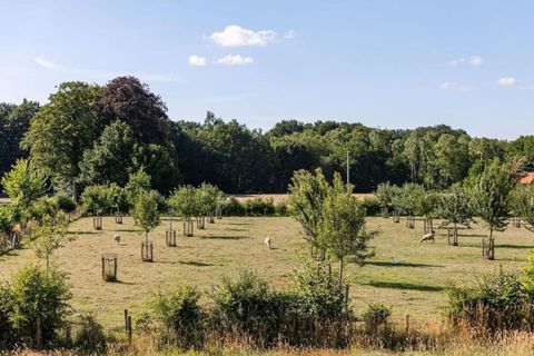 Je kunt genieten van de prachtige omgeving en de rustige sfeer terwijl je ontspant in je eigen kleine huisje.