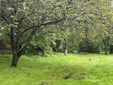 Het Bulskampveld, het grootste bosgebied van West-Vlaanderen, biedt talloze wandel- en fietspaden, meren en riviertjes
