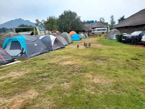 Camping 