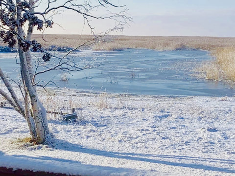 Winter