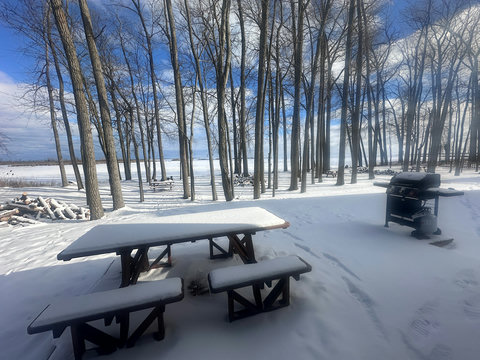Winter