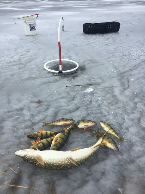 World class fishing