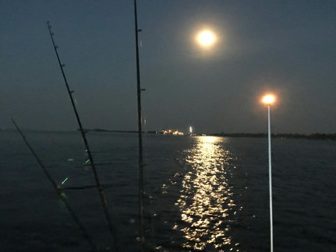 walleye fishing out from cabins