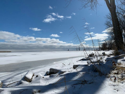 Winter Shoreline