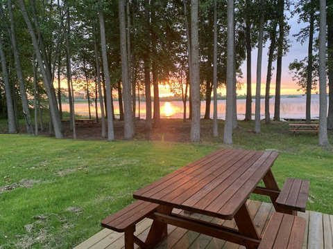 The View
