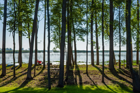View from Cabin