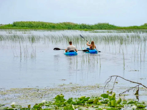 Kayaking