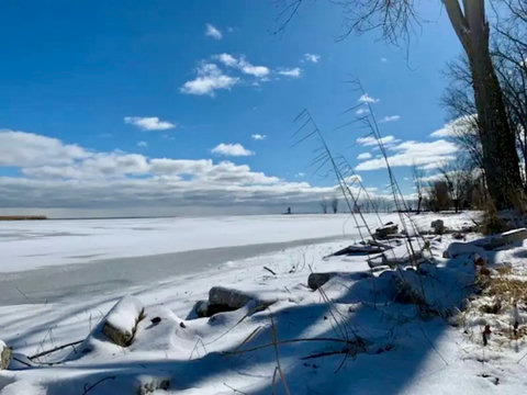 Winter shoreline
