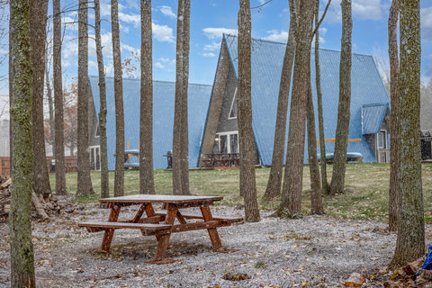 have a family outing or get together? 3 cabins next to each other