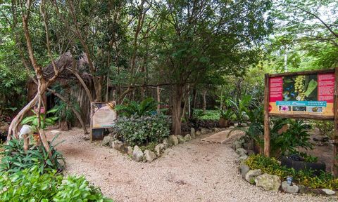 Part of the nursery at Sirenis. Located just a minute walk from the condo. You can walk through to see different plants that are around the complex.