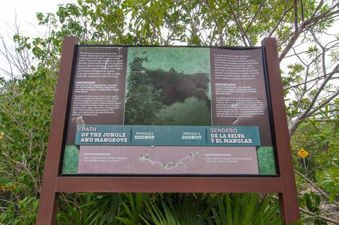 Path across from the nursery that takes you to a small cenote and  out to a beach area.