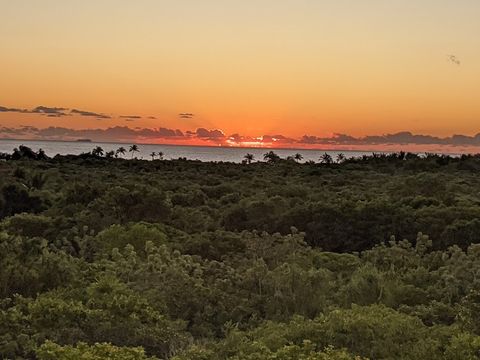 sun rise on the roof