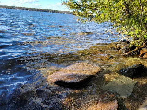 Shallow entry, weed-free water for swimming!