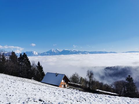 Above the fog