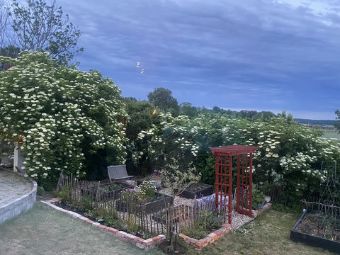 One part of the garden