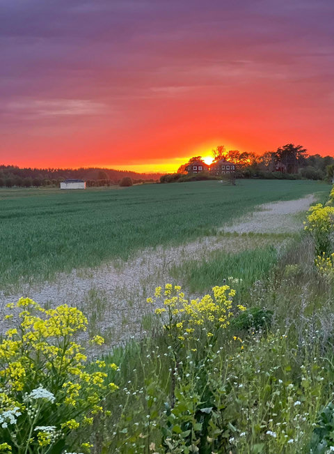Our house in the sunset