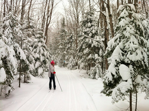Nordic Ski Trail Behind the Property