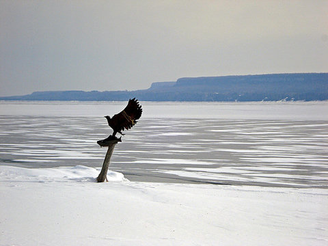 Winter Shoreline View 3