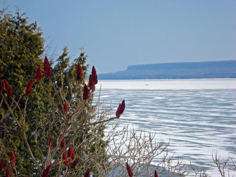 Winter Shoreline View 2