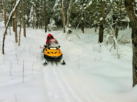 Snowmobile Trail Behind the Property