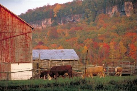 Escarpment Automn Colours Nearby