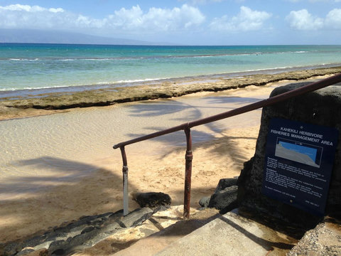 Steps down to the water, only 25ft away from the condo.  The waters are sheltered by a unique double reef system, arguably one of the most kid friendly swimming locations in Maui!