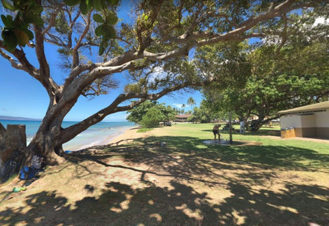 Honokowai Beach Park.  Playground, sandy beach and tide pools! 200 yards from the condo!