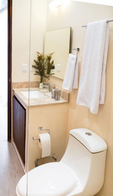 We provide our guests soap and shampoo upon arrival with extra toilet paper