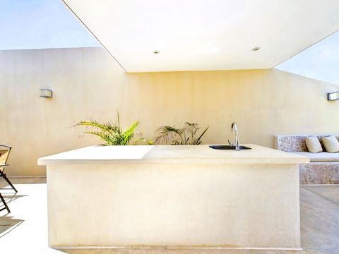 The open half kitchen and bar area on the rooftop is perfect for preparing snacks and drinks, making your outdoor hangouts convenient and enjoyable.