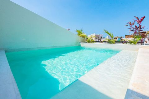 The pool is maintained in the best conditions as possible for our guests, you will surely enjoy relaxing in your pool after a beach day