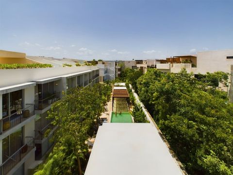 Here is the view of the residence from the shared rooftop which our guests also have access to