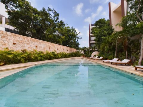 The residence Chaac also offers outstanding amenities for our guests such as this beautiful swimming pool with plenty of sundecks