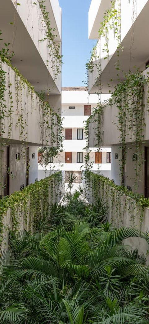 Nestled in a contemporary building that blends sleek architecture with tropical charm, this studio offers a perfect balance of style and tranquility.
